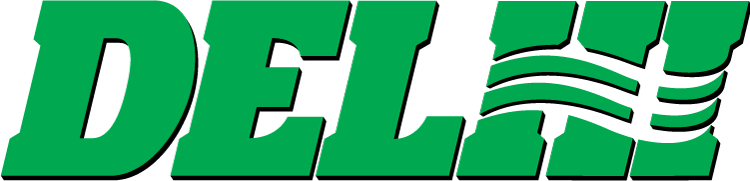 Logo_Delhi
